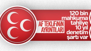 MHP'nin af teklifinin ayrıntıları