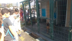 BAKIRKÖY BELEDİYESİ ÇOCUKLARA HAYVAN SEVGİSİ AŞILIYOR