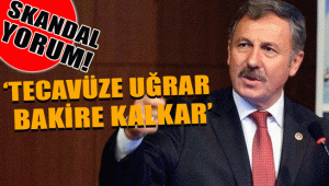 Eski AKP'li vekilin Türk Devleti benzetmesi PES dedirtti!