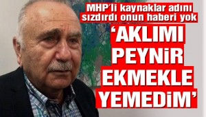 Dalan'dan MHP İstanbul adaylığı yanıtı