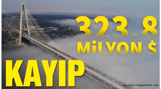 DEVLET ZARARA UĞRATILMIŞTIR