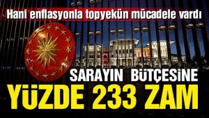 HALK TASARRUFTA, SARAY BÜTÇE ARTTIRIMINDA . !