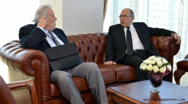 İlber Ortaylı, Bakan Danışmanı Oldu