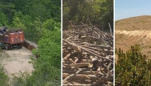 Deniz ve göllere santral.. 'Poşet'ten rant ve yağma çıktı