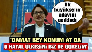 Meral Akşener, Berat Albayrak'a yüklendi