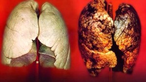 Sigara Paketleri Değişiyor! İşte Yeni Sigara Paketleri