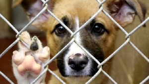 BAŞKAN DR. KERİMOĞLU HABERİN VAR MI?