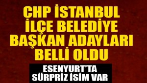 CHP İSTANBUL İLÇE BELEDİYE BAŞKAN ADAYLARI BELLİ OLDU!
