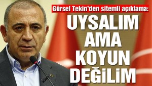 Gürsel Tekin'den sitemli açıklama: Uysalım ama koyun değilim