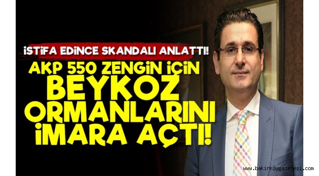 '550 Villa İçin Ormanı İmara Açtılar'