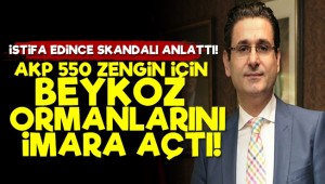 '550 Villa İçin Ormanı İmara Açtılar'