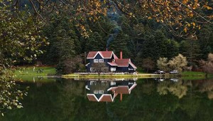 Belediye mahkemeyi 'takmadı': Kiralama ihalesine çıkacak