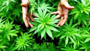 Bu rakamları kimse yazmıyor