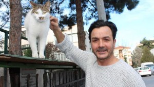 Zuhurat Baba'da Çöpe Atılan Mobilyalar Kedi ve Köpeklere Yuva Oldu