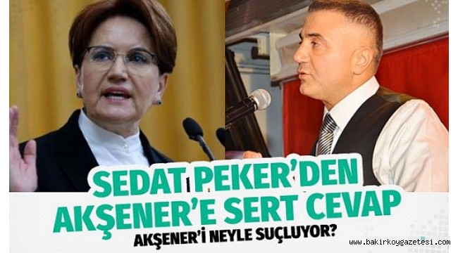 İYİ Parti Genel Başkanı Meral Akşener'e Sedat Peker 'den çok sert cevap
