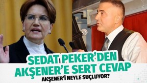 İYİ Parti Genel Başkanı Meral Akşener'e Sedat Peker 'den çok sert cevap