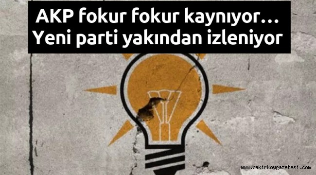AKP'li vekilden itiraf: Bizim adaylar ranta aşık!