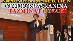 MERAL AKŞENER'DEN CUMHURBAŞKANINA TAZMİNAT CEVABI
