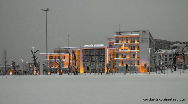 Müdür, başkan yardımcısı ve şoför ev arkadaşı olmuş