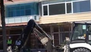 BAKIRKÖY'DE BU AĞAÇLARI KİM NEDEN KESİYOR?