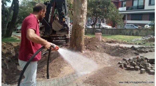 İBB'nin 6.3 milyonluk ağaç sulama işi AKP'li yöneticinin şirketine verildi