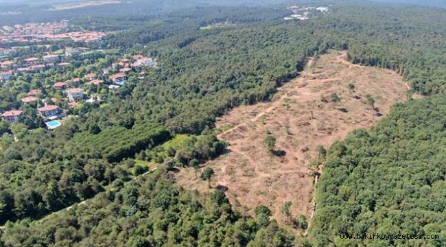 Bakanlık açıkladı! Göktürk ormanlarında ağaçlar neden kesiliyor?