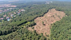 Bakanlık açıkladı! Göktürk ormanlarında ağaçlar neden kesiliyor?