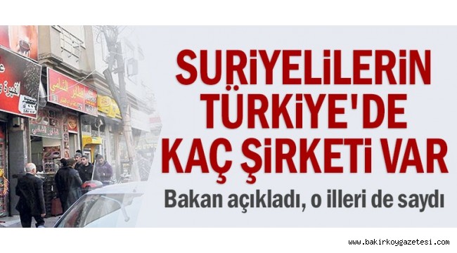 Suriyelilerin Türkiye'de kaç şirketi var