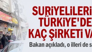 Suriyelilerin Türkiye'de kaç şirketi var