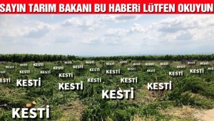 Türk tarımı iflas noktasına geldi! Bursalı çiftçi 3 bin 800 meyve ağacını kökünden kesti