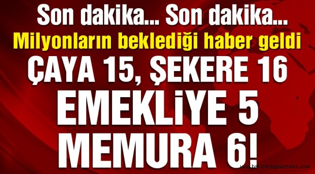 Son dakika: Memur ve emekli temmuz zammı belli oldu! İşte zamlı maaşlar…