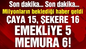 Son dakika: Memur ve emekli temmuz zammı belli oldu! İşte zamlı maaşlar…