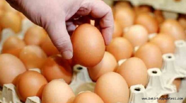 Suudi Arabistan'dan yumurta ithal ediyoruz