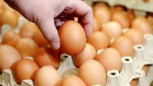 Suudi Arabistan'dan yumurta ithal ediyoruz