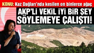 AKP'li vekil Kaz Dağları'ndaki ağaç katliamına ilginç savunma