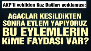 AKP'li vekilden Kaz Dağları açıklaması: Ağaçlar kesildikten sonra eylem yapıyoruz, bu eylemlerin kime faydası var?