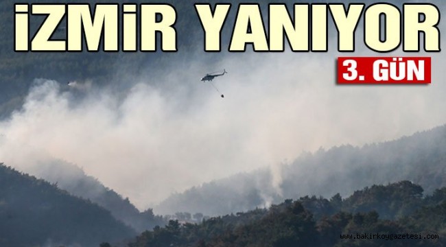 İzmir'deki yangında son durum