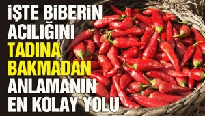 Hayatınızı kolaylaştıracak mutfak sırları