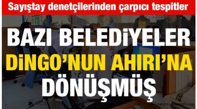 Belediyeler Dingo'nun Ahırı'na dönmüş