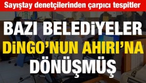 Belediyeler Dingo'nun Ahırı'na dönmüş