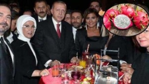 'Kokteyl mönüsünden ejder meyveli smoothie çıktı yerine ne girdi?'