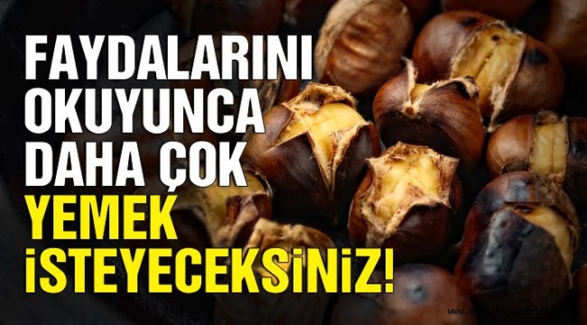 İşte kestanenin faydaları! Yemek isteyeceksiniz