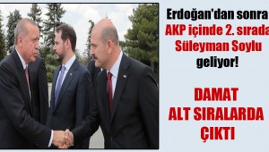 Erdoğan'dan sonra AKP içinde 2. sırada Süleyman Soylu geliyor! Damat alt sıralarda çıktı