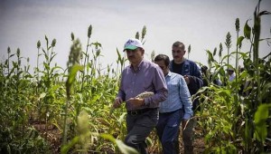 Köyüne dönene devletten 100 bin TL