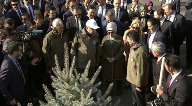 Geleceğe Nefes projesinde dikilen 11 Milyon fidanın yüzde 90'ı kurudu!