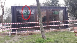 HABERİN VAR MI CAVİT GANİÇ ?