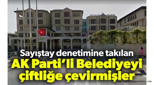 Sayıştay denetimine takılan AK Parti'li Belediyeyi çiftliğe çevirmişler