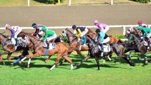 At Yarışları yeniden başlıyor! Tarih verildi..