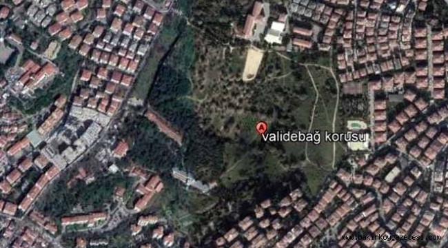 Belediye'nin salgın fırsatçılığı: Validebağ'ı kendisine tahsis etti