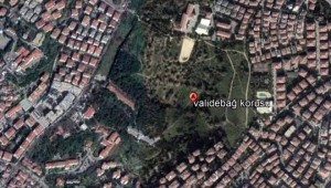 Belediye'nin salgın fırsatçılığı: Validebağ'ı kendisine tahsis etti